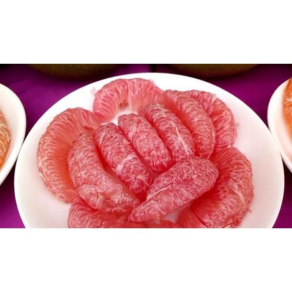 Cây giống bưởi đỏ tân lạc