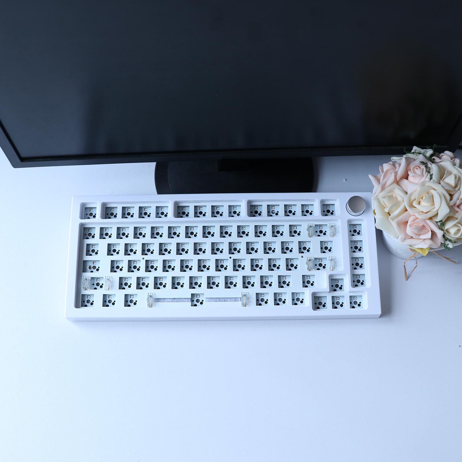 Tachiuwa 68Keys Tester68 Mechanical Keyboard Kit ,Two Modes 2.4G/Bluetooth 5.0