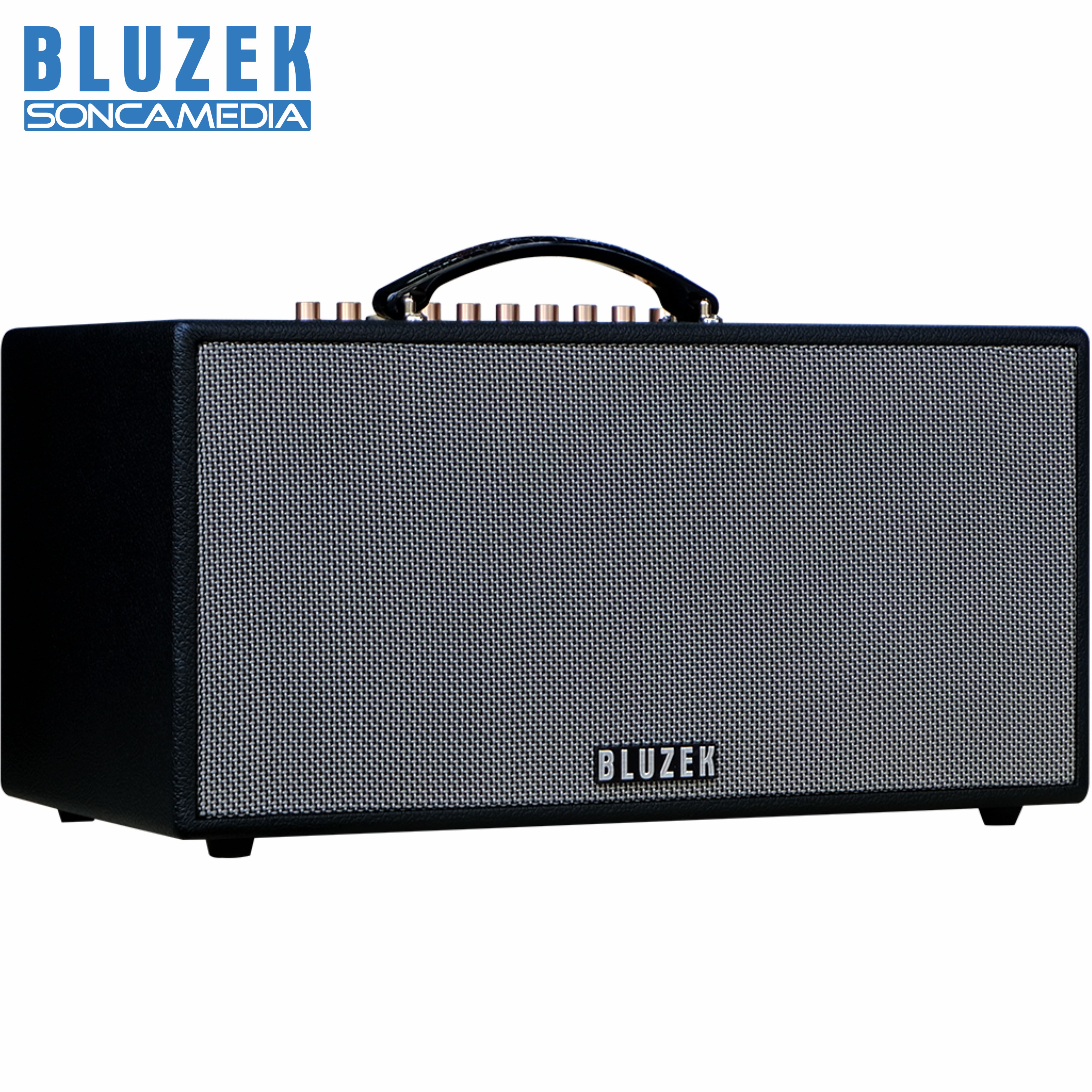 Dàn âm thanh di động xách tay BLUZEK BZ450PLUS