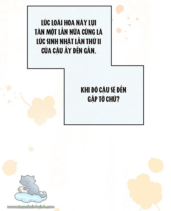 kiếp này ta sẽ trở thành gia chủ chapter 52 43