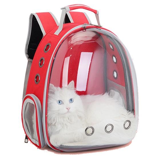 Túi vận chuyển chó mèo thú cưng trong suốt rộng rãi tiện lợi có quai đeo