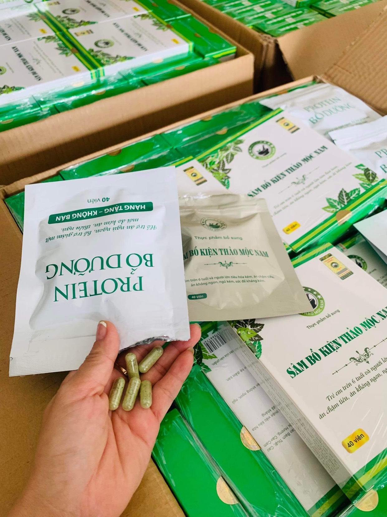 Combo 3 hộp Lên cân Sâm bổ kiện Thảo mộc nam Organic