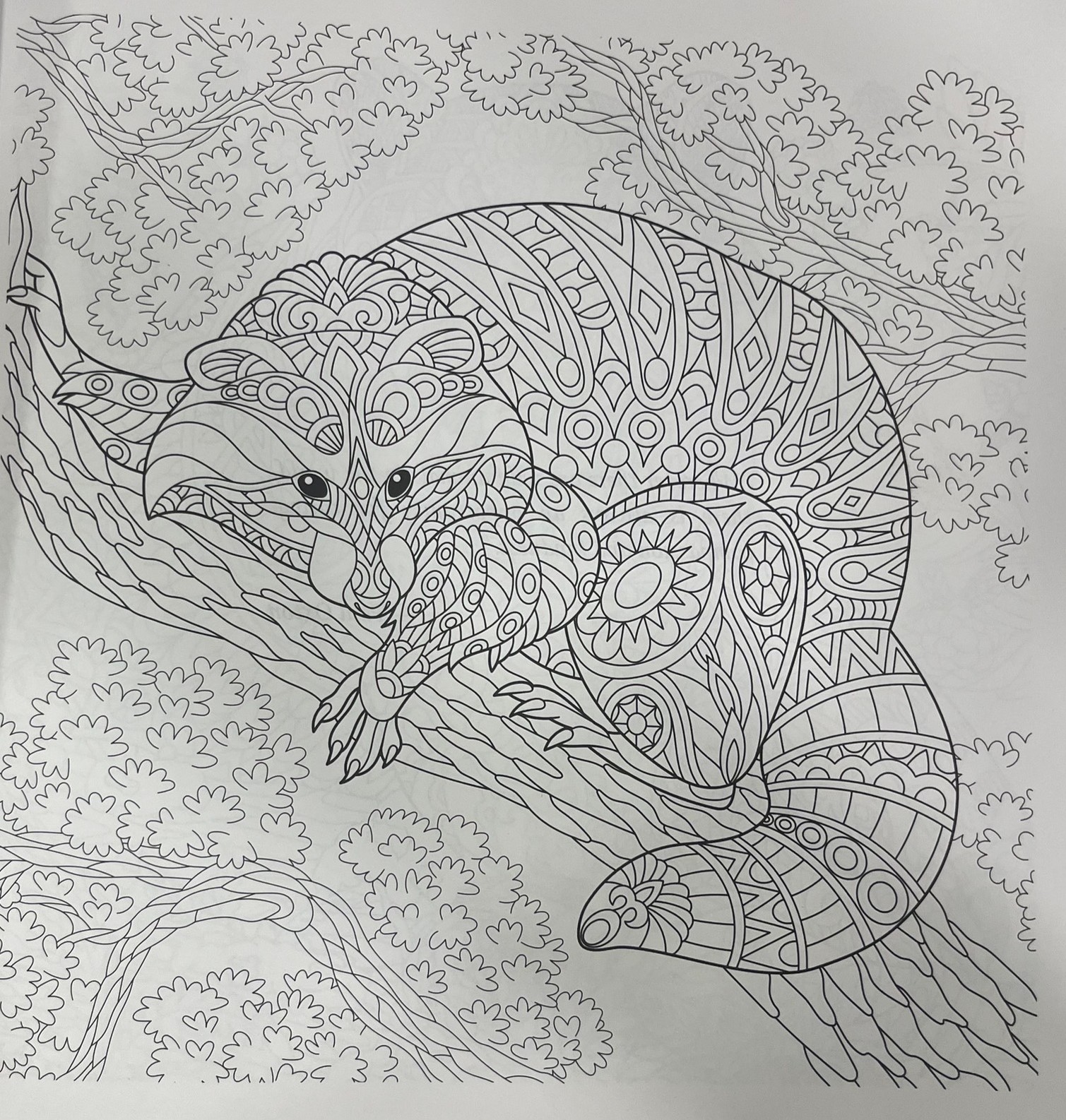 Animals - Adults Colouring Book For Adults