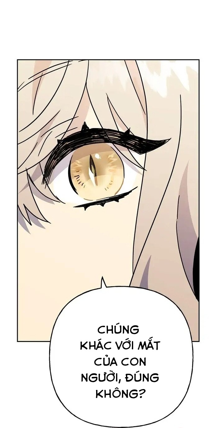 bình tĩnh nào, tiểu thư! chapter 65 12