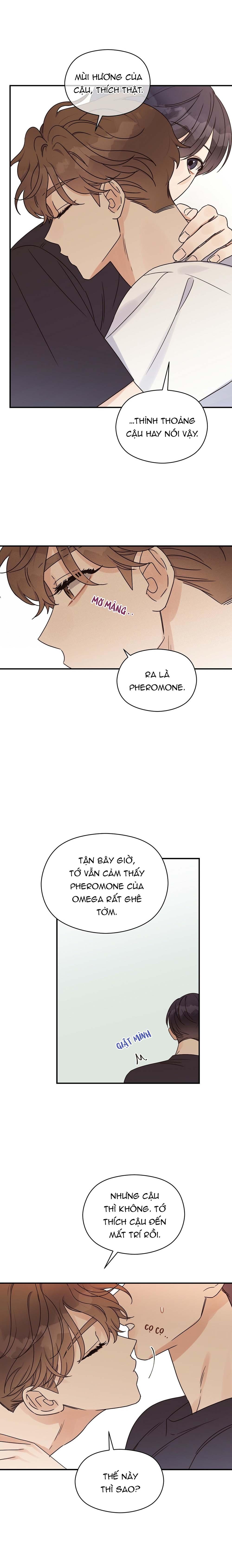 omega complex (end) chapter 26 19