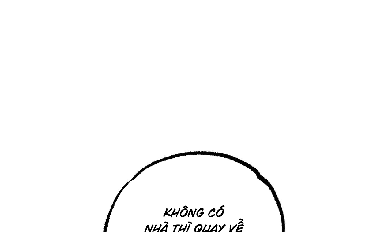 những chú thỏ của hapypy chapter 51 157