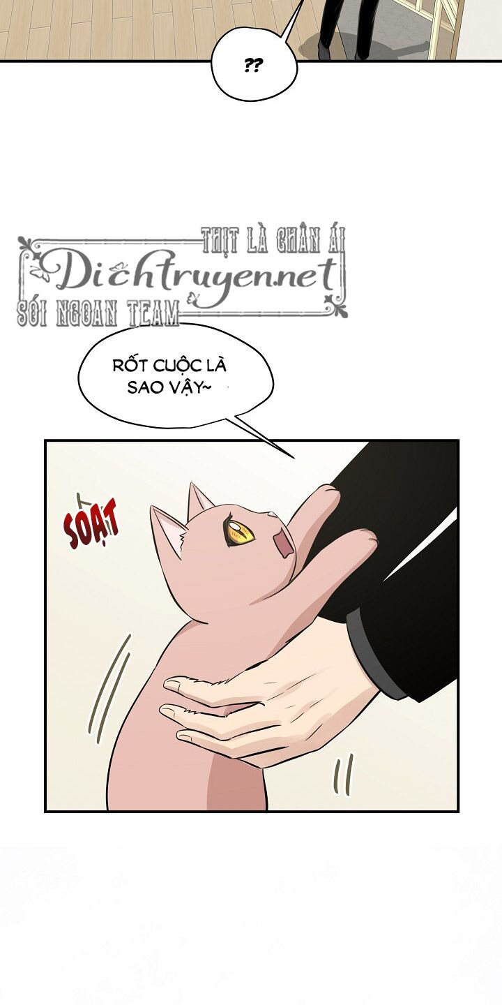 cuộc sống kỳ thú chapter 44 54