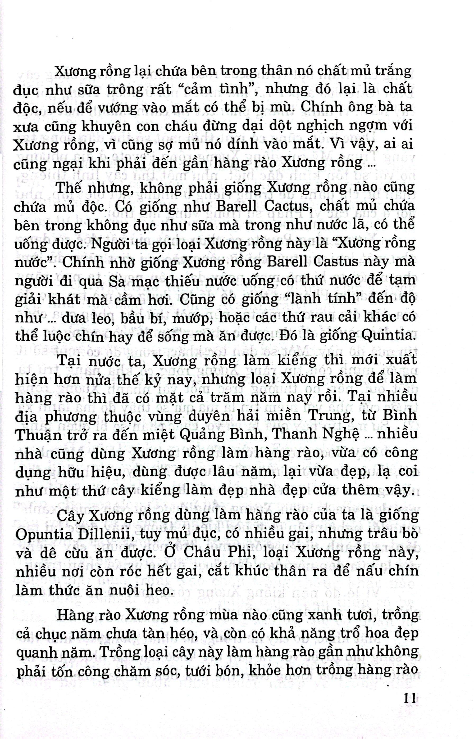 Sách - Kỹ Thuật Trồng Và Kinh Doanh Kiểng - Xương Rồng - Xương Rồng Bát Tiên - Sứ Thái Lan (Tái Bản 2025)