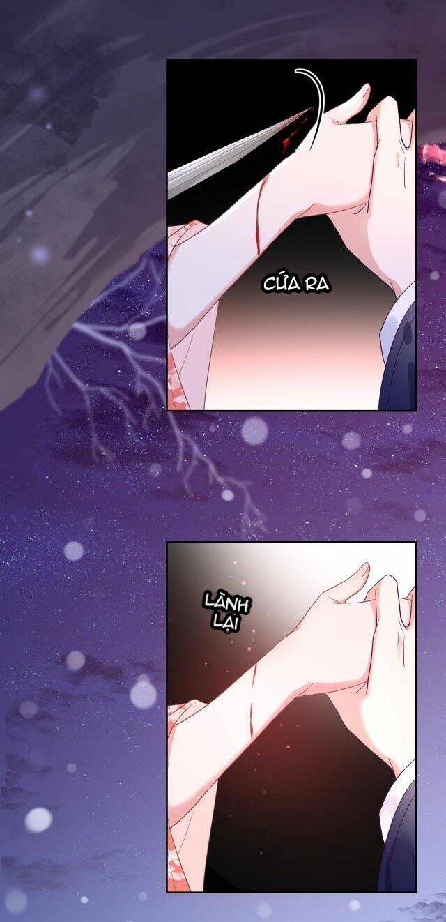 hắc hóa nam chính trực tuyến nuôi thỏ chapter 4 2