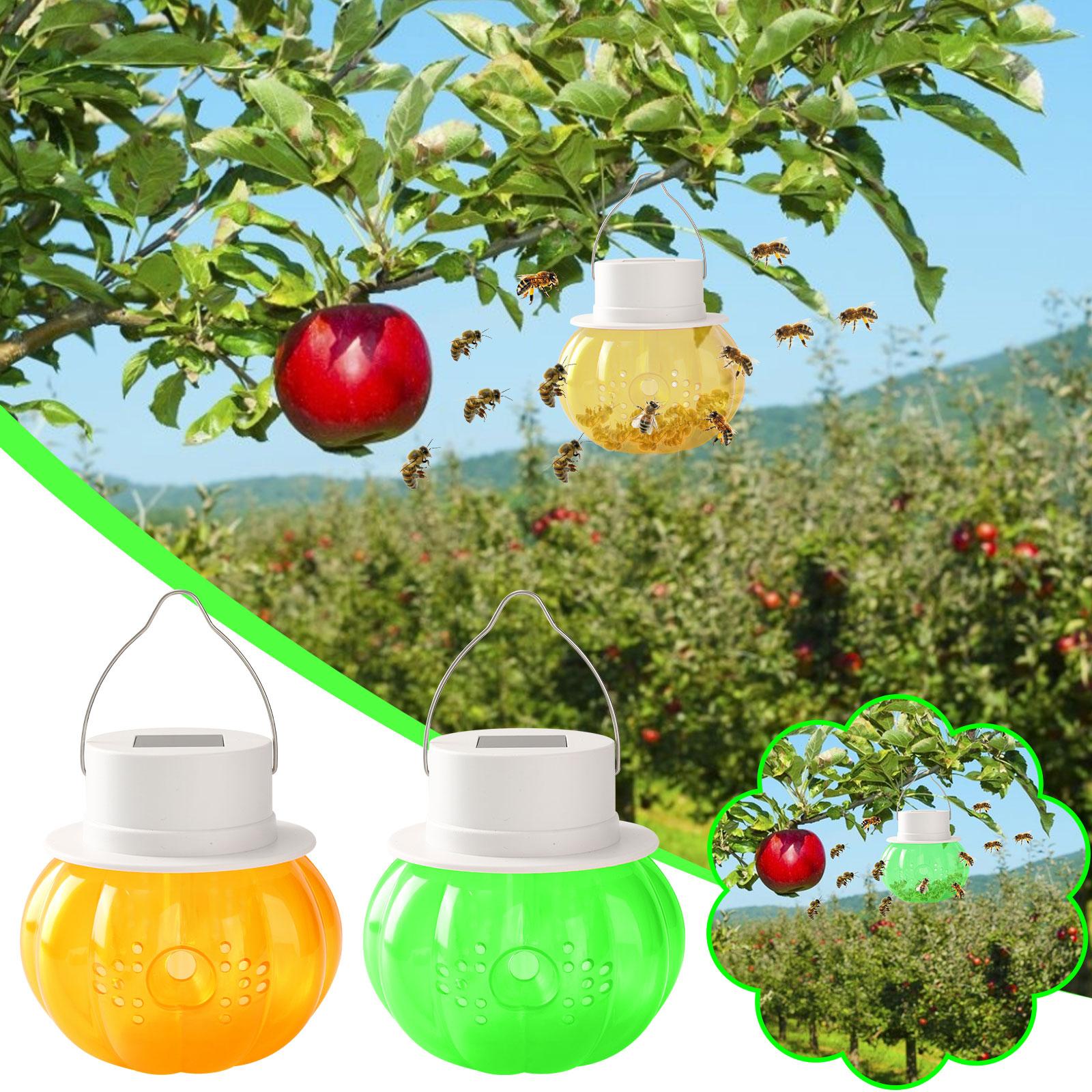 Bẫy ong thu sáp ngoài trời