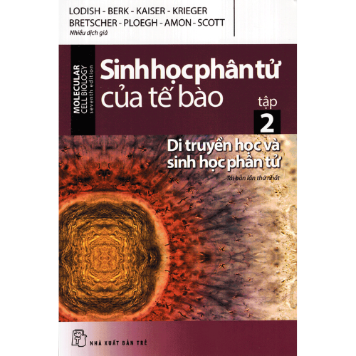 Sinh Học Phân Tử Của Tế Bào - Tập 2: Di Truyền Học Và Sinh Học Phân Tử _TRE