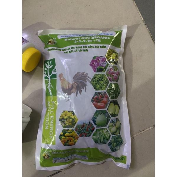 Combo phân bón chuyên dùng cho cây hái trái ớt,dưa leo, cà chua, bầu bí mướp và cây ăn trái