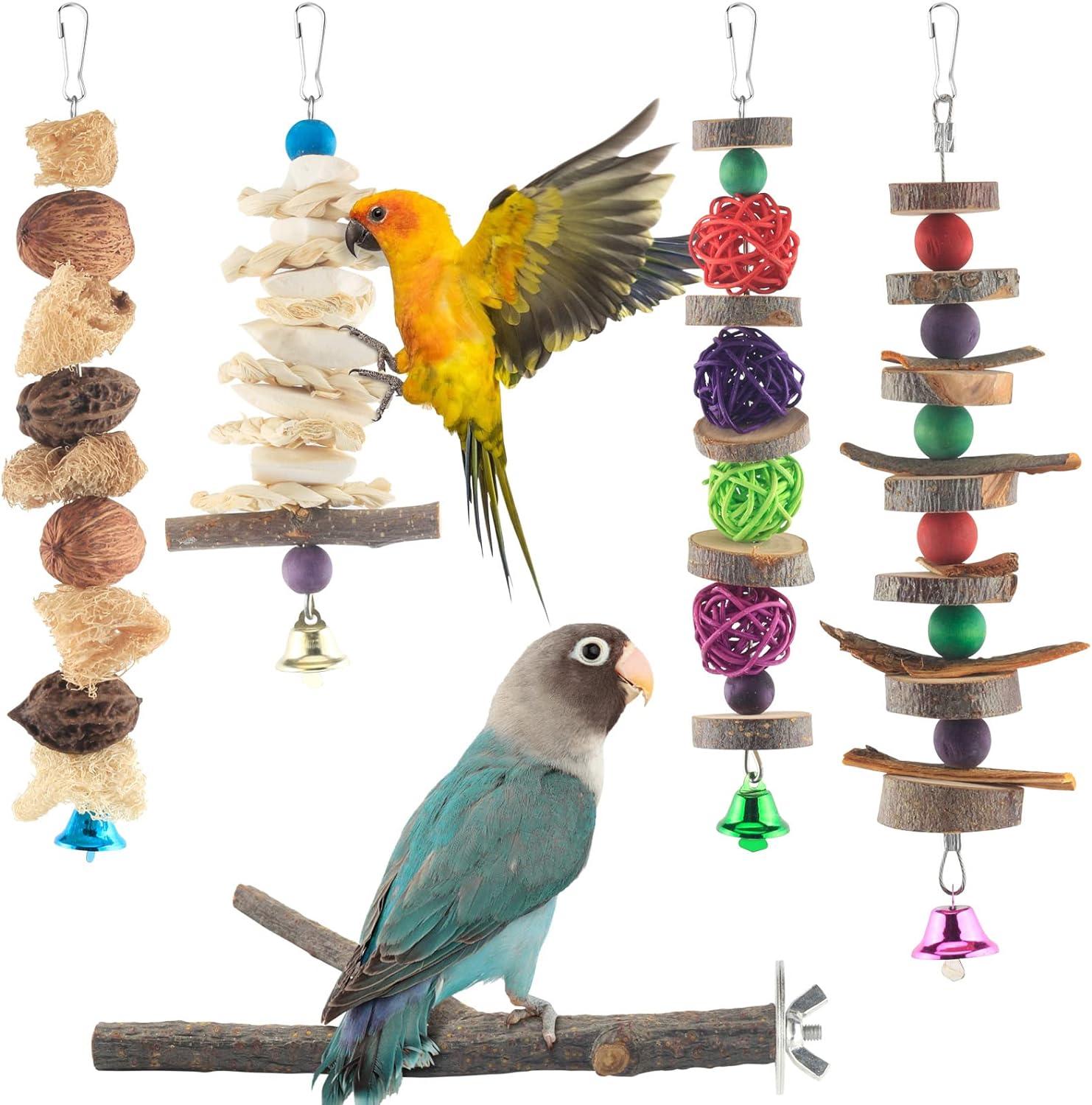 5 chiếc parakeet gỗ tự nhiên đồ chơi parrot treo g g chim cá rô cho chim nhỏ