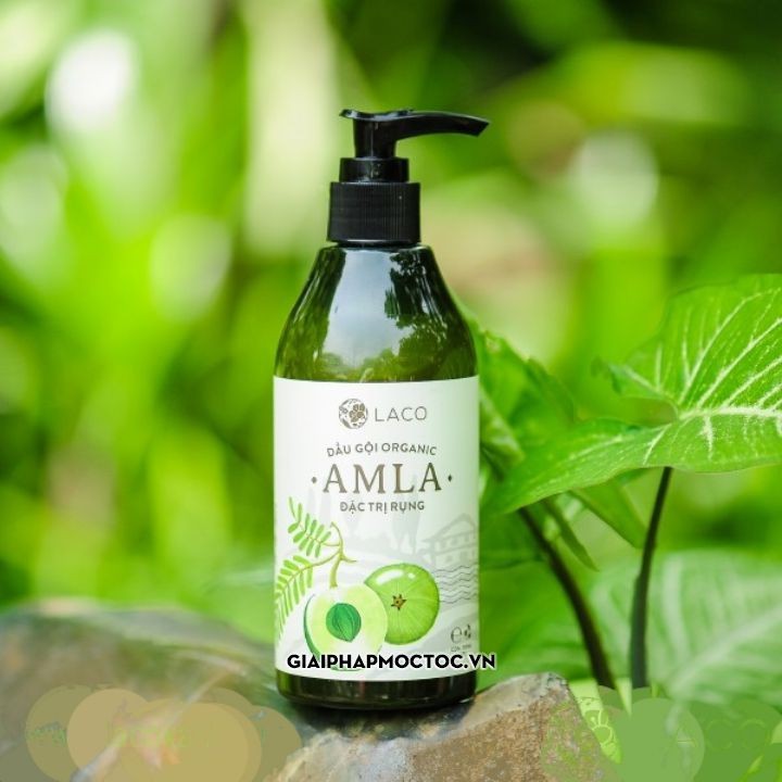 Combo 2 Dầu gội Amla Laco