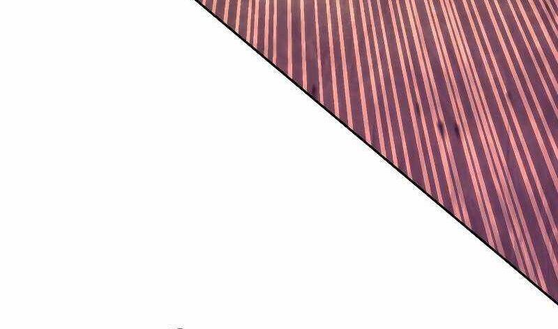 the live chapter 113.5 39