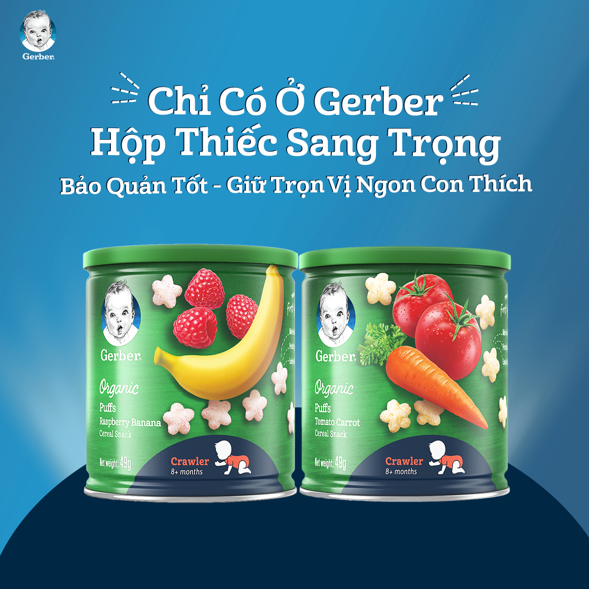 Combo 2 Bánh Ăn Dặm Hữu Cơ Nestlé Gerber Chính Hãng - Tặng Hộp Nhựa Cao Cấp 1000ml