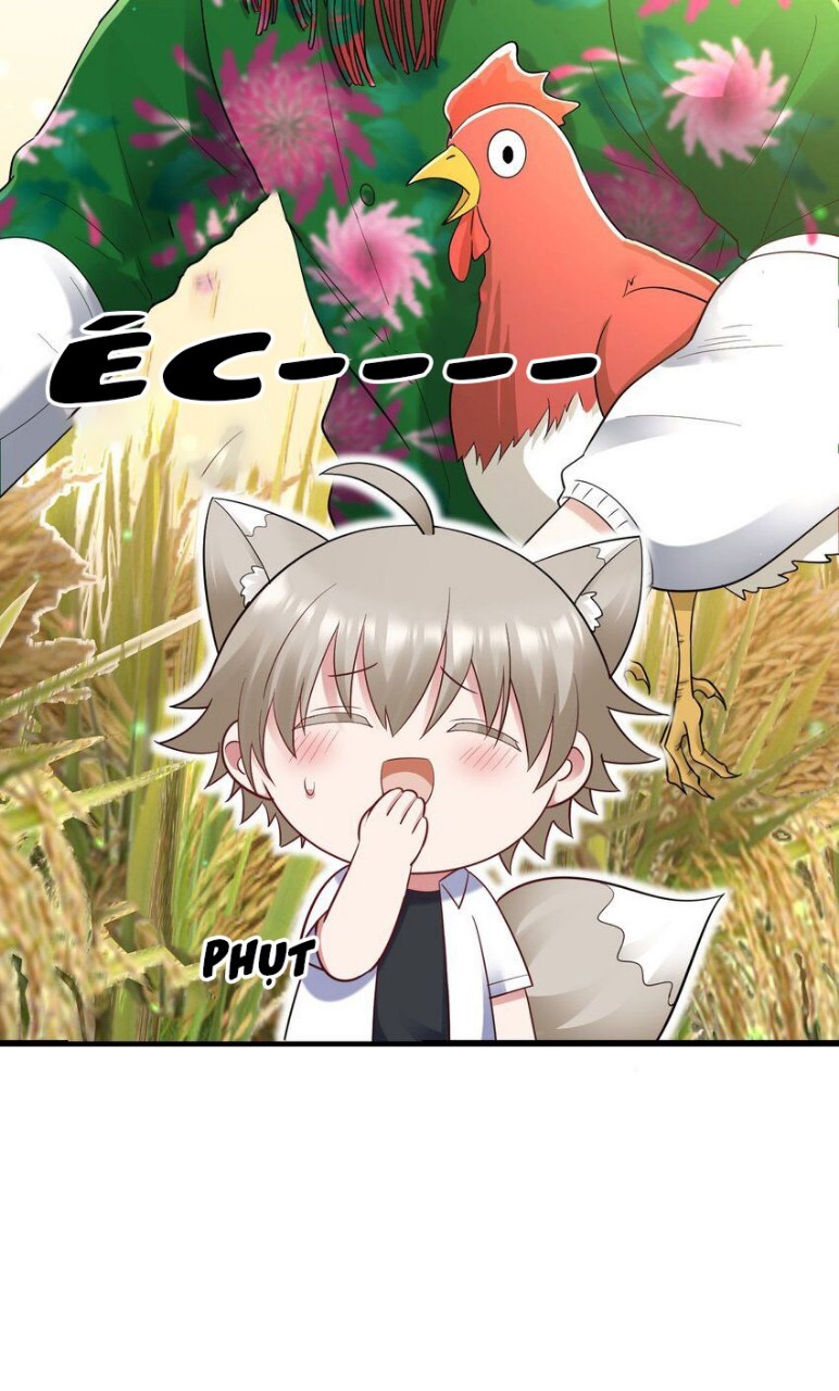 tức thời phạm quy [ tức thì vi quy ] chapter 61 43