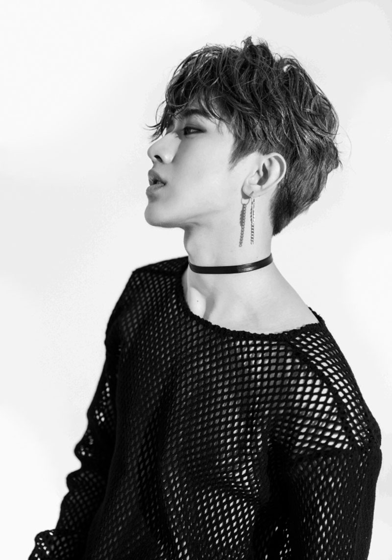 Bông tai khuyên tai idol hình lông vũ mix sợi mắt xích style Unisex Hàn Quốc