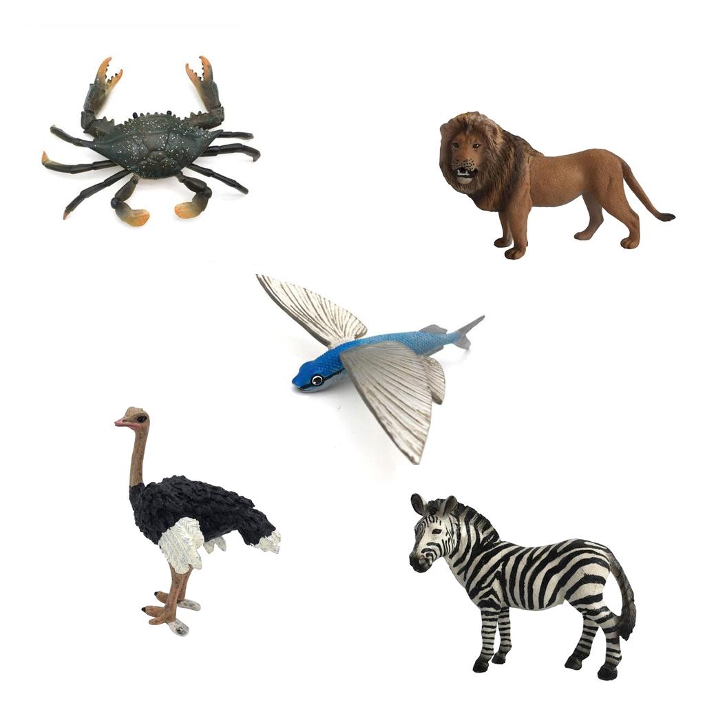 Nature Wild Lion Ostrich Zebra Crab  Flying Fish Cute Animal Model Figurine Action Figures Kids Playset Toy