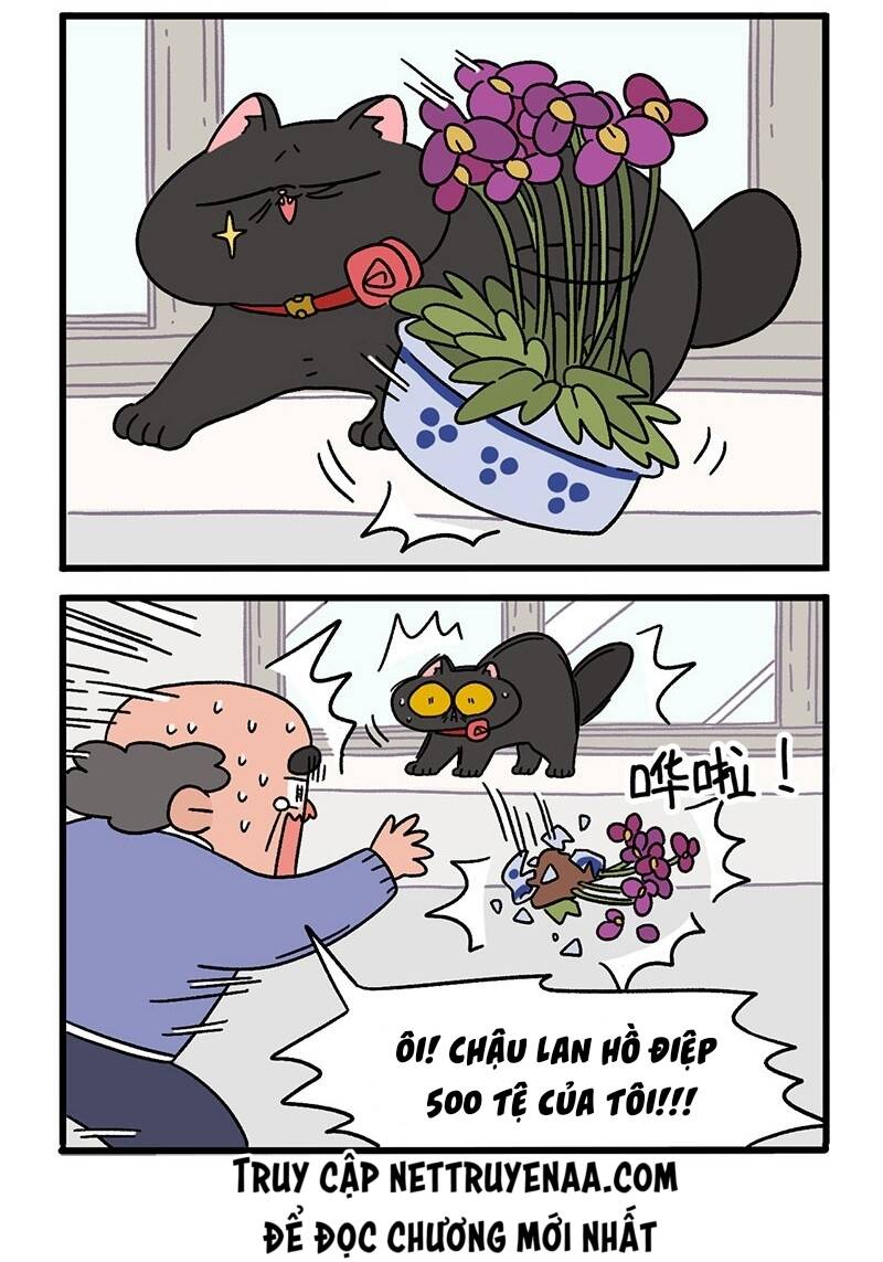 a mãn và mạch trà chapter 16 4