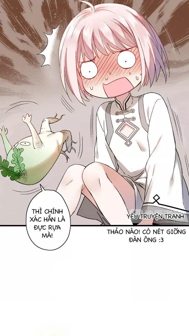 thực nhị chapter 12.2 11