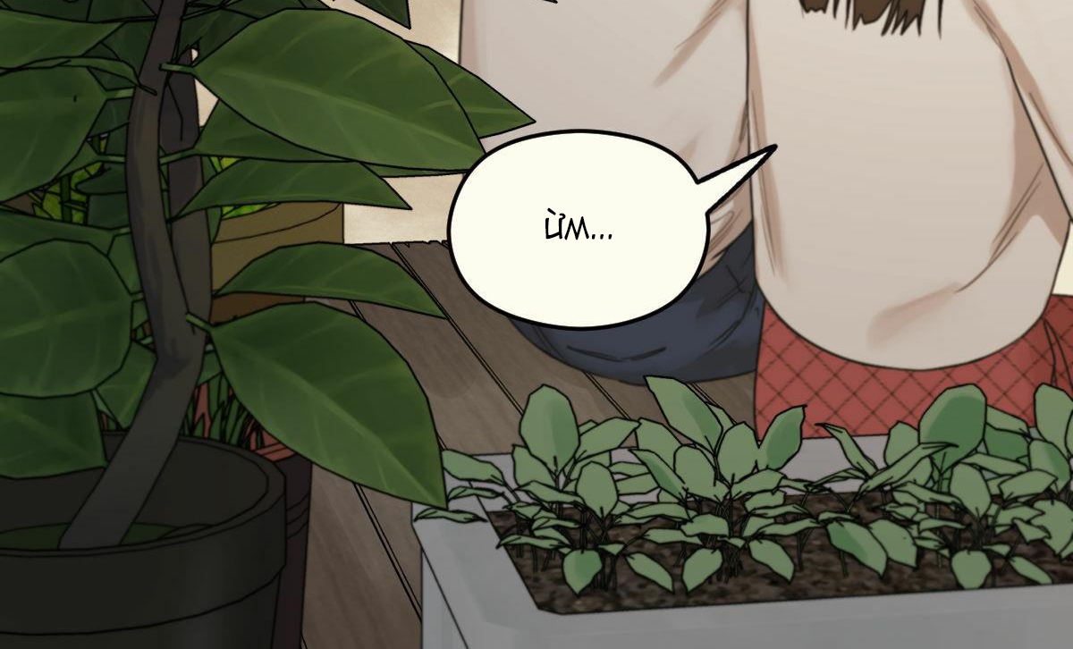 tương phùng chapter 15 275