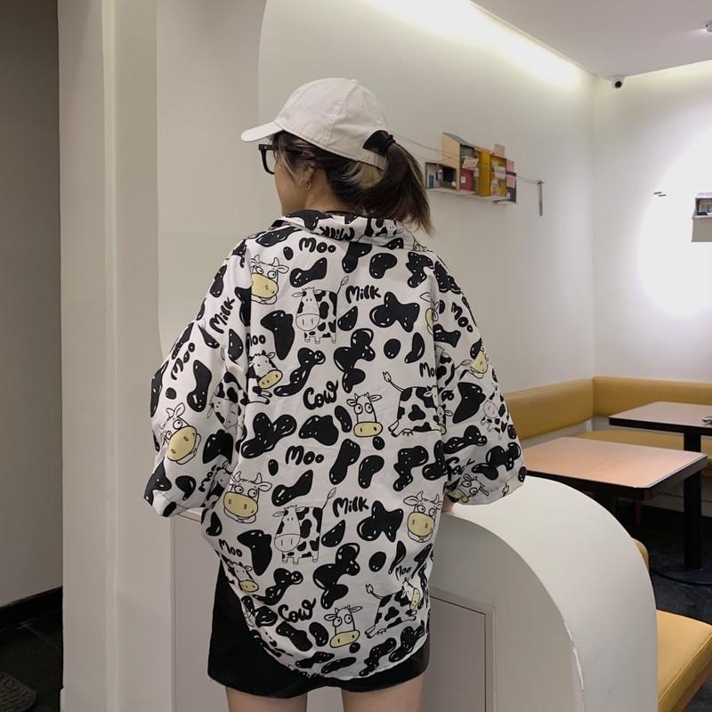 Áo sơ mi con bò sữa
