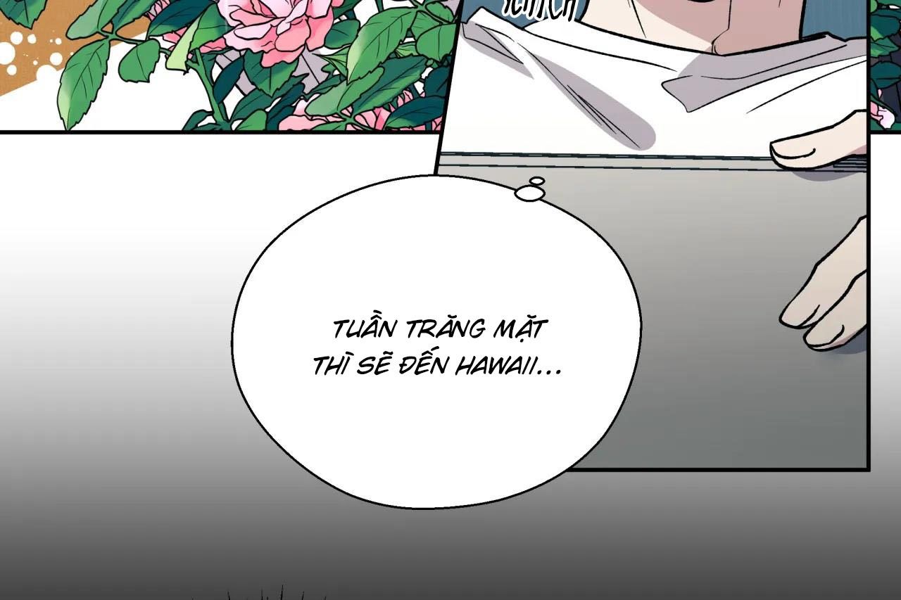ám ảnh pheromone chapter 62 67