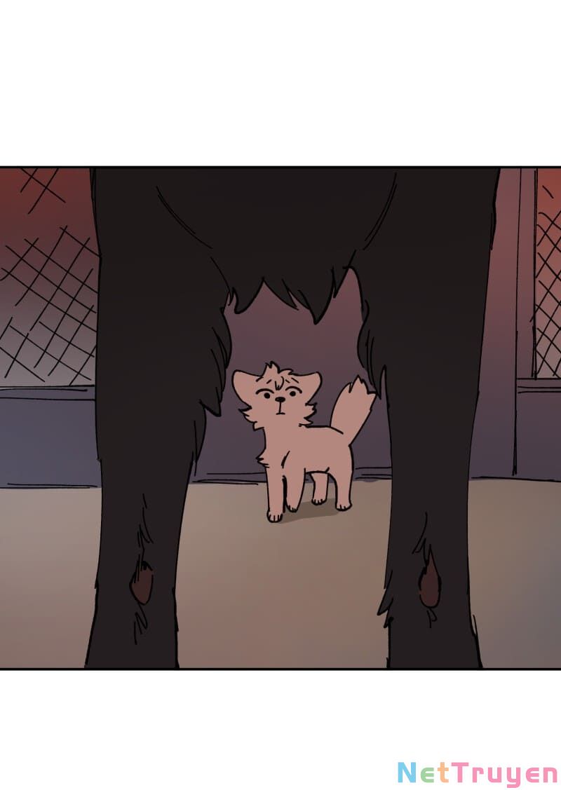lumine - cội nguồn ánh sáng chapter 113 34