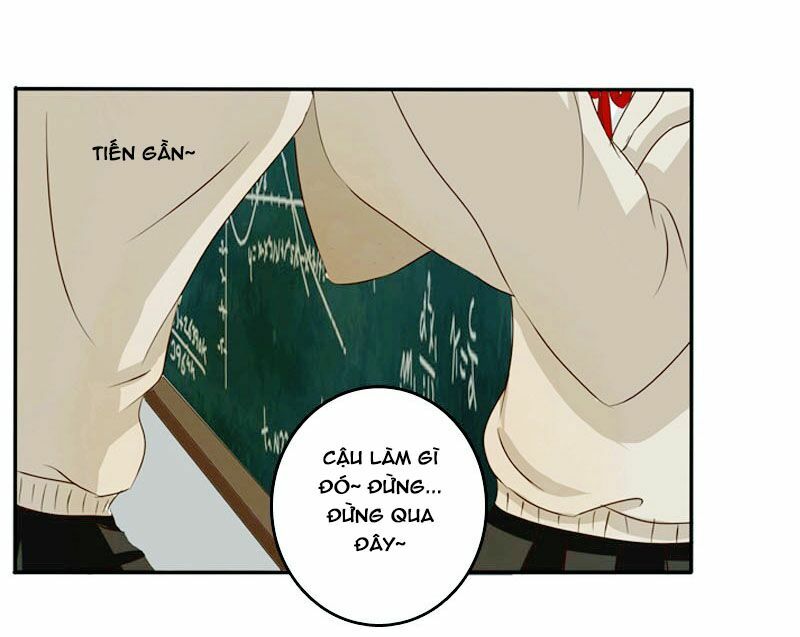 thông linh phi chapter 71.6 72