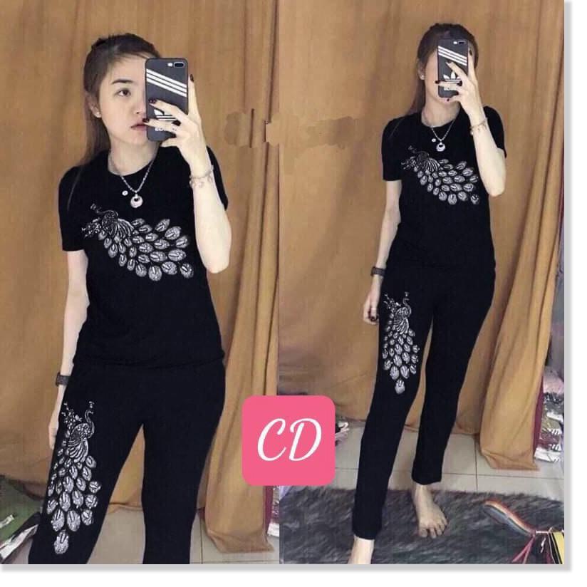 SET ĐỒ BỘ NỮ THUN