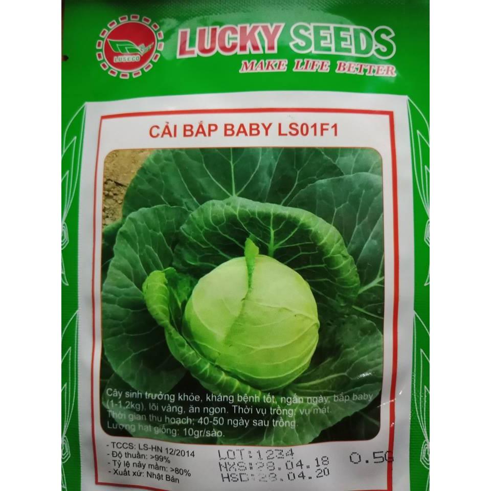 COMBO 2 gói hạt giống cải bắp cải baby xanh