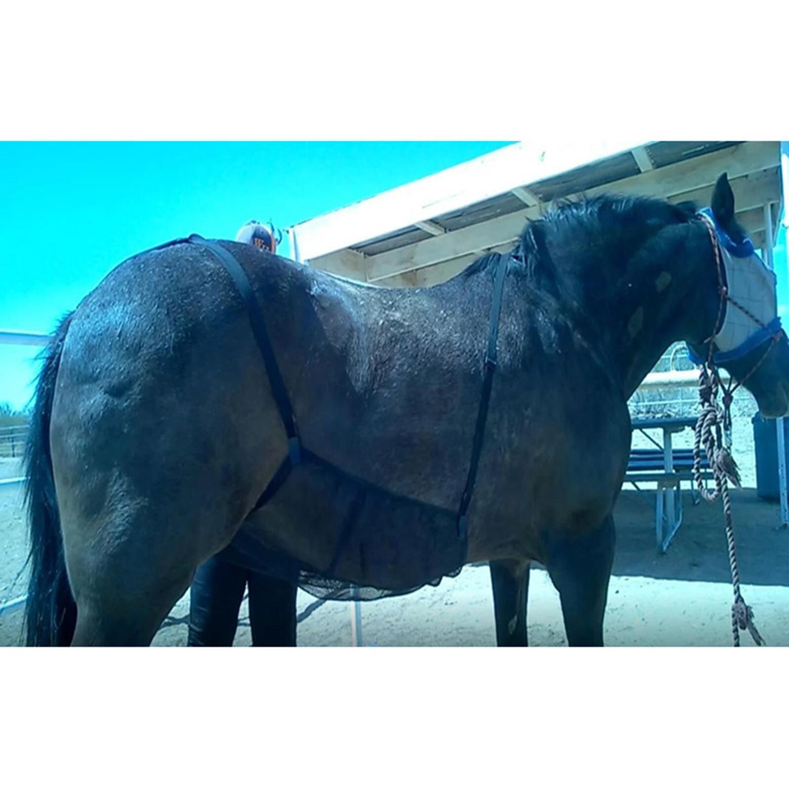 Horse Bug Fly Sheet Stretch Rug
