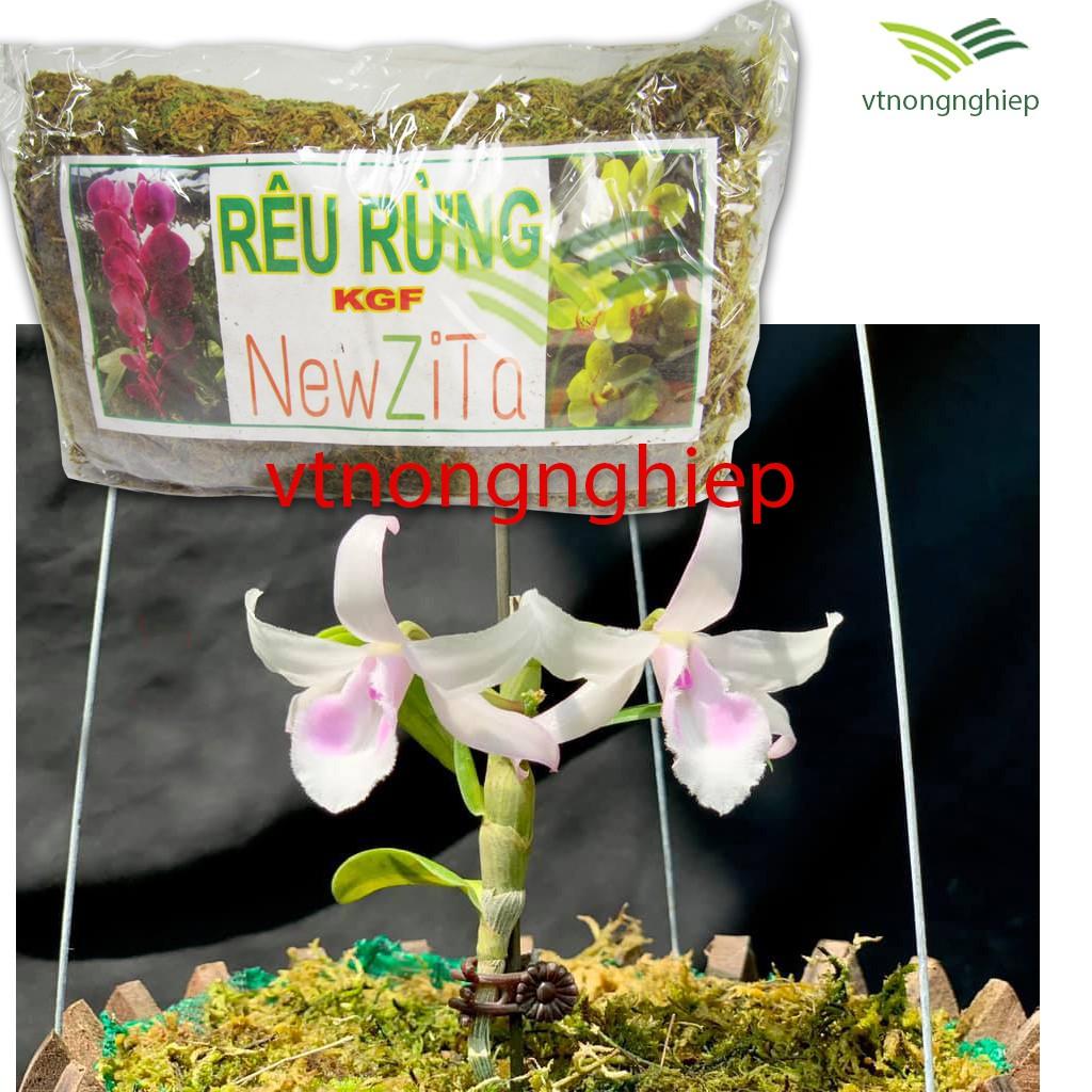 Rêu rừng trồng lan, rêu rừng NewZita, gói 130(g)