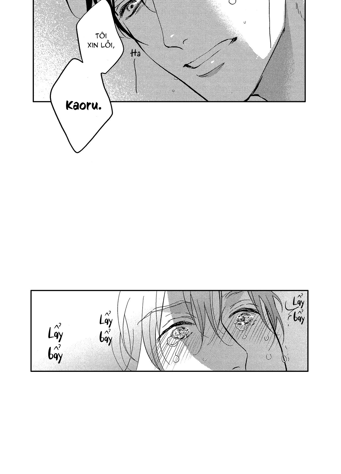 nụ hôn của baba chapter 10 22