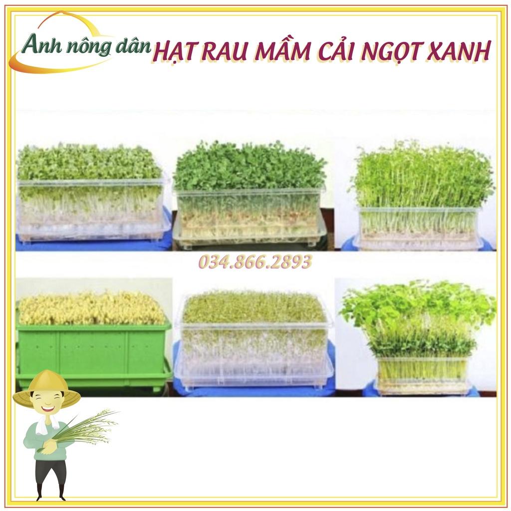Set 3 Gói 50g Hạt rau mầm rau cải ngọt Xanh - Hạt rau mầm giá rẻ, nảy mầm đồng đều