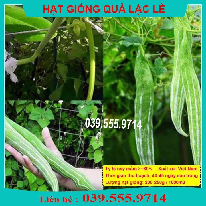 HẠT GIỐNG QUẢ LẶC LÈ GIỐNG CHUẨN, CHẤT LƯỢNG CAO