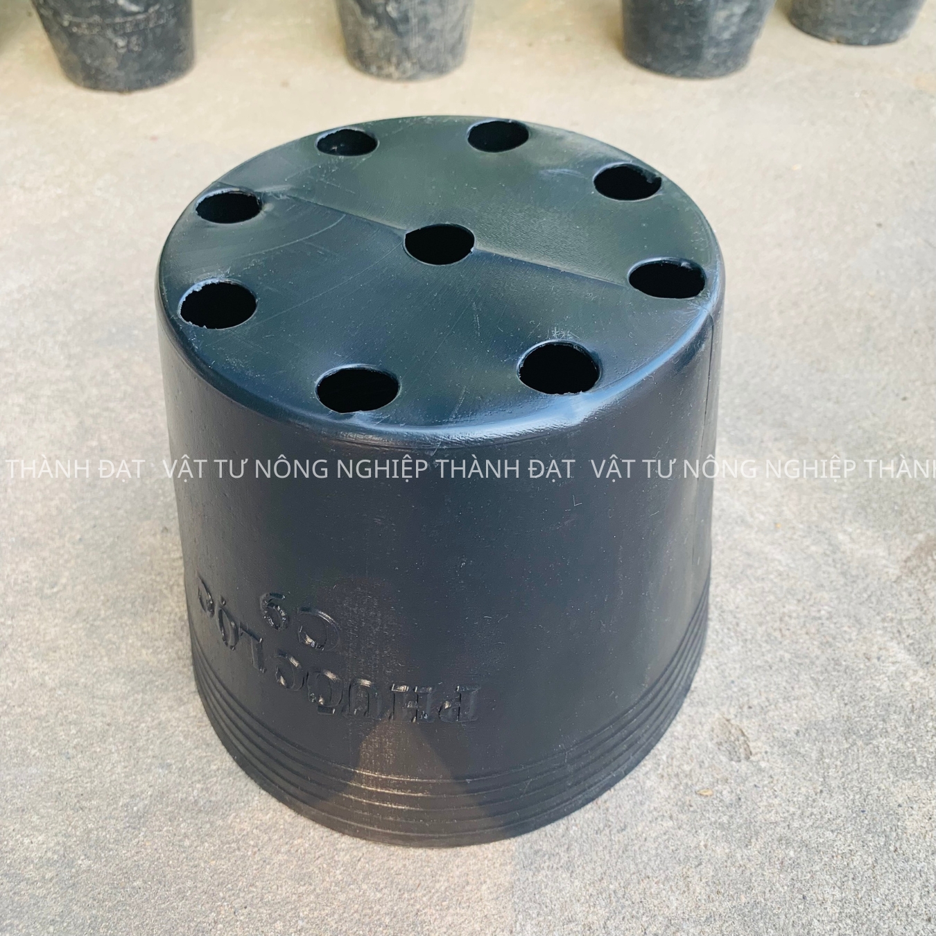 Bầu ươm cây cứng c9 hàng dày