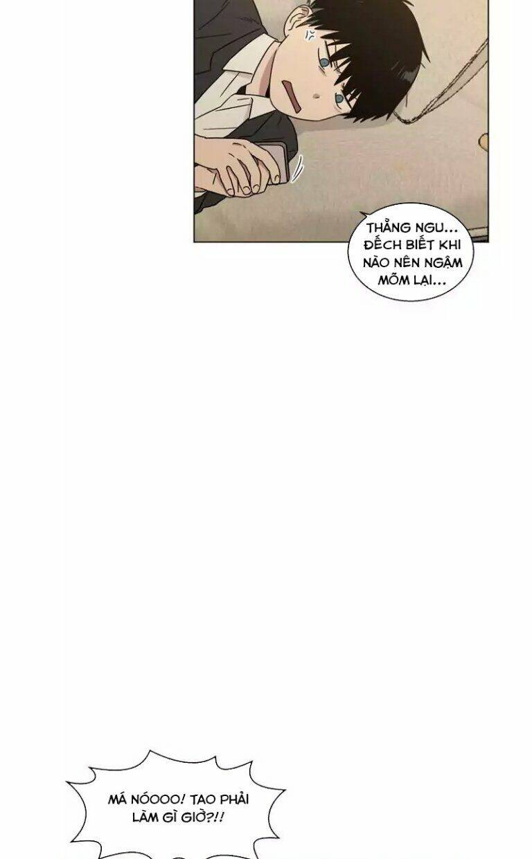 …”một sự thật khá khó chịu.” chapter 50 51