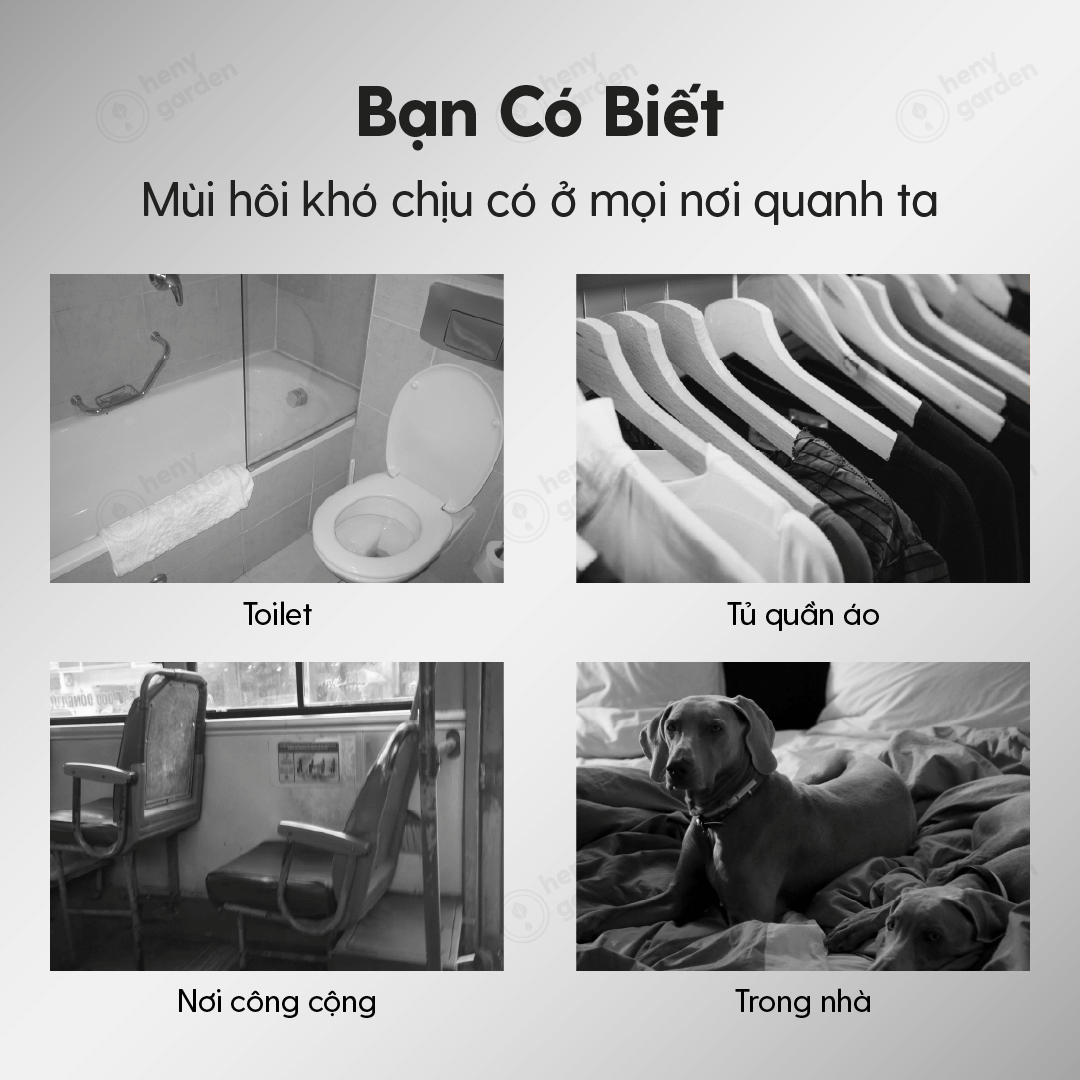 Xịt Thơm Phòng Thiên Nhiên, Ướp Hương Tủ Quần Áo, Khử Mùi Hôi Giày, Khử Mùi Chó Mèo & Diệt Khuẩn – Hương Cam Chanh Sả 100ml Heny Garden