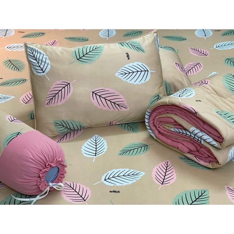 Drap thun hàn quốc