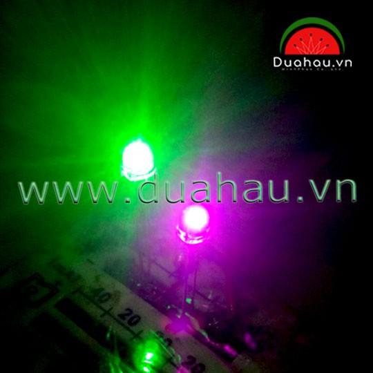 1000 bóng led trong Xanh lá 5mm