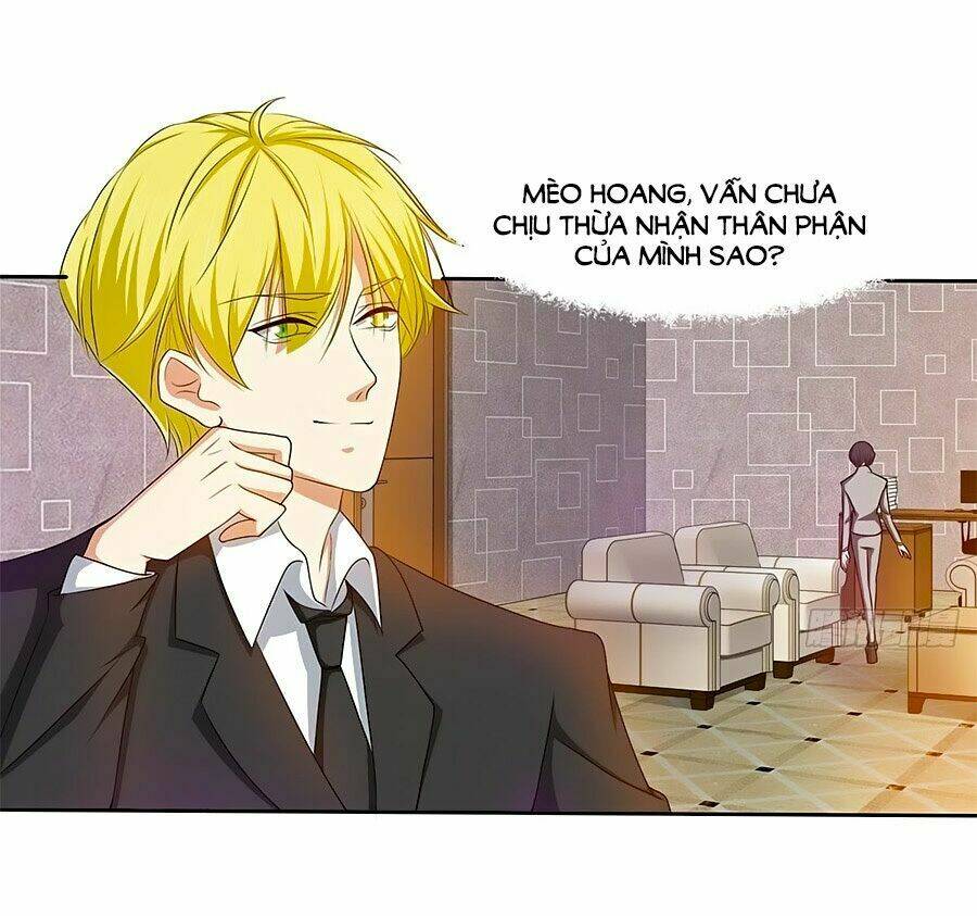 chủ tịch và nữ sát thủ chapter 12 3