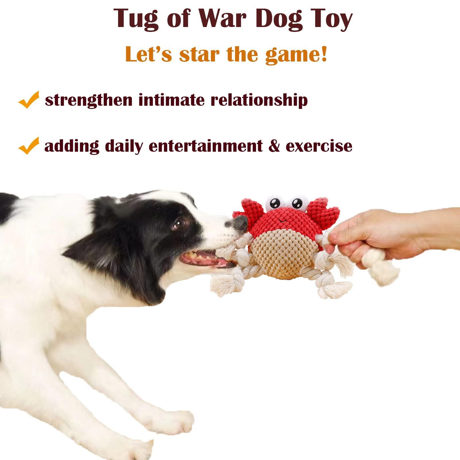 Plüsch Dog Toy Squeaky Tương tác K Đồ chơi với chân dây mạnh, kéo chiến tranh cho chó con, chó nhỏ, vừa và lớn