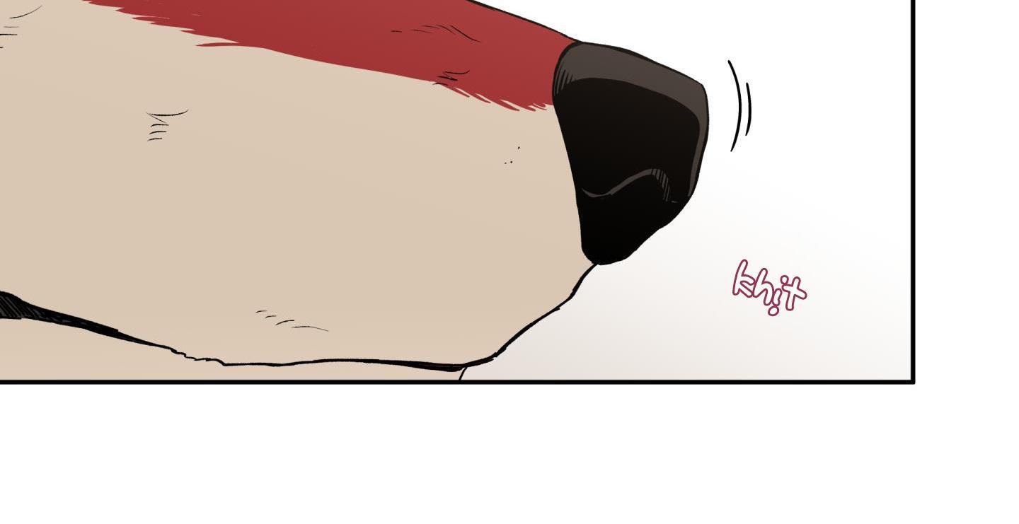 gâu gâu! chapter 51 26