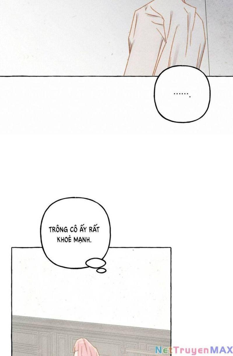 nuôi dưỡng một hắc long chapter 68.2 7