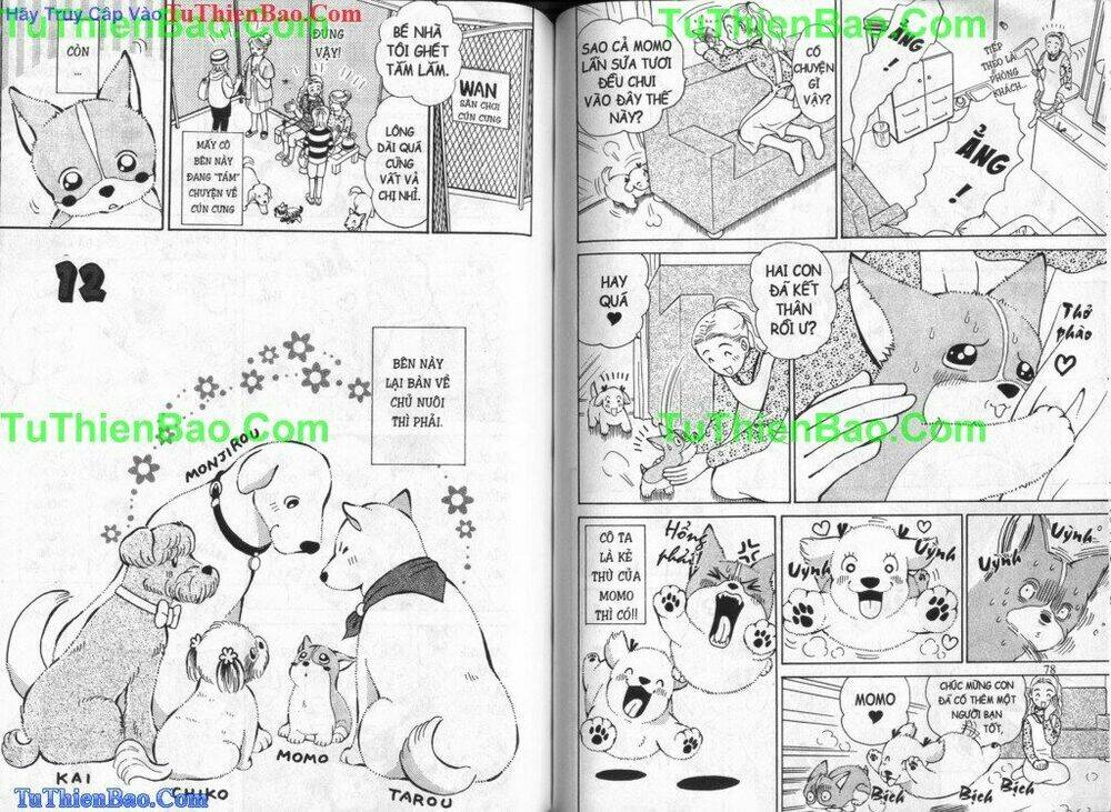 chó con mo mo chapter 5 40