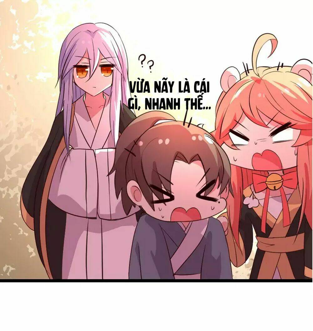 đệ tử của ta là heo chapter 8 18