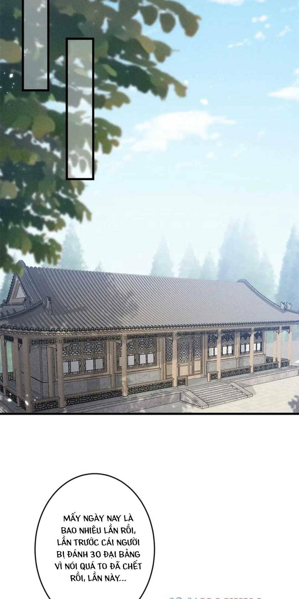 tái sinh trở lại : ta trở thành độc y thái tử phi chapter 52 16