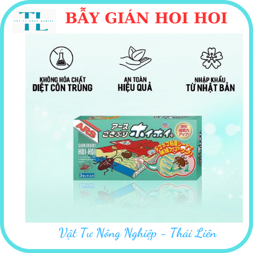 Bẫy gián Hoi Hoi hộp 3 miếng